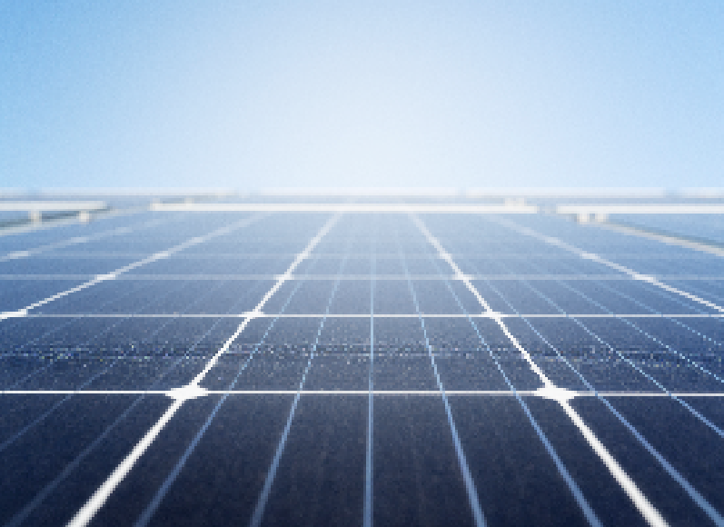Photograph of solar panels