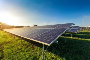 Photograph of solar panels in a field